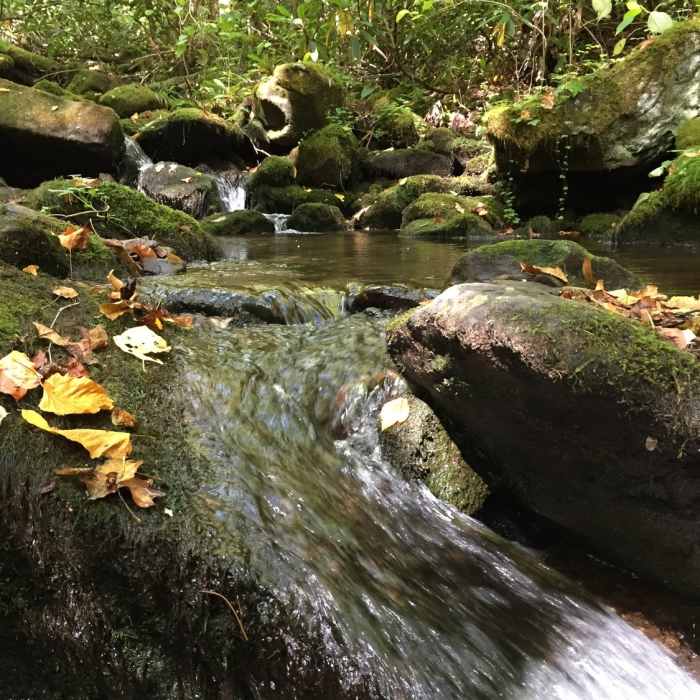 There are lots of nice areas to have a snack and refill your water supplies along Jonas Creek. Near Jonas Creek Trail