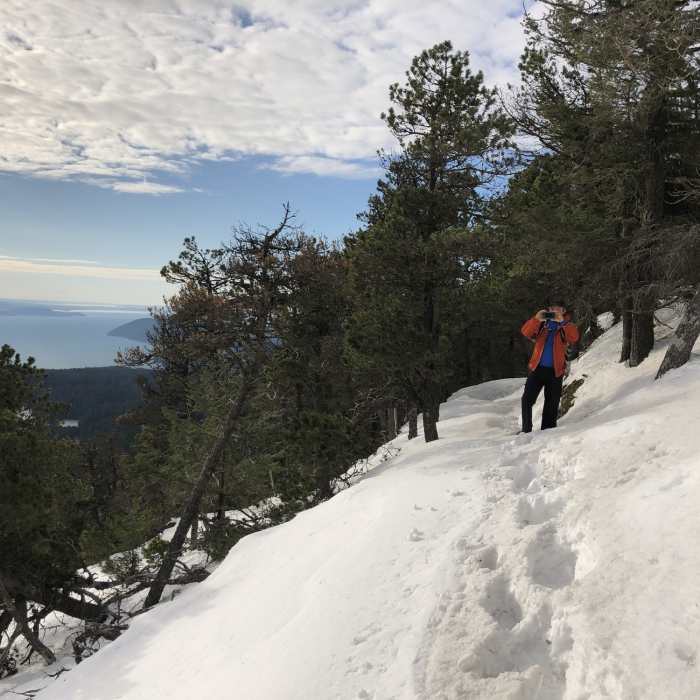Near Little Summit Trail
