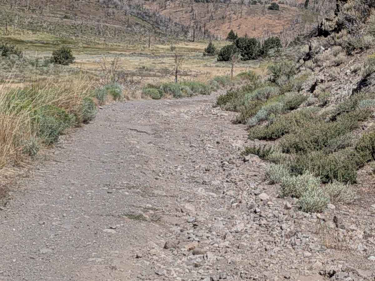 Big Spring Spur Road photo 4