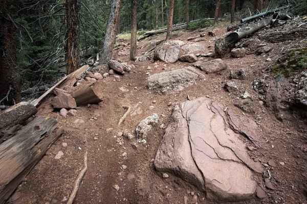 Bear Creek Trail South - FS 415