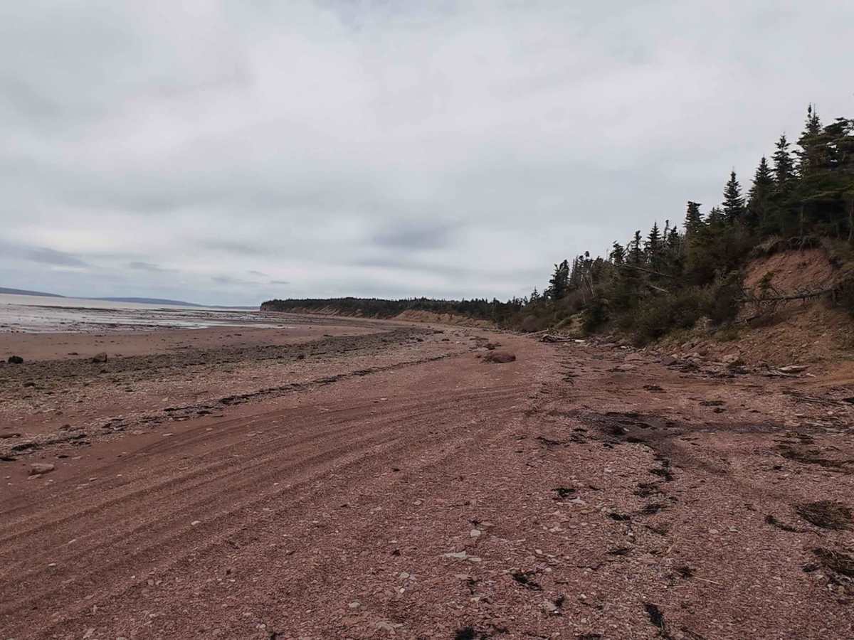 Pink Rock Beach trail photo