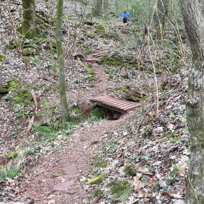 Foot bridge for creek crossings Near Ruffner Ridge and Quarry Loop