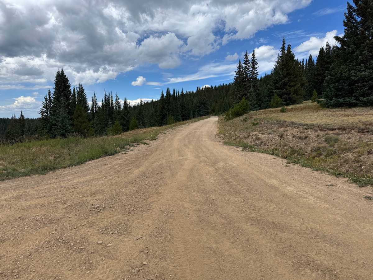 Ptarmigan Road photo 5