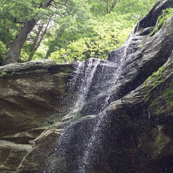 Near Anglin Falls Trail