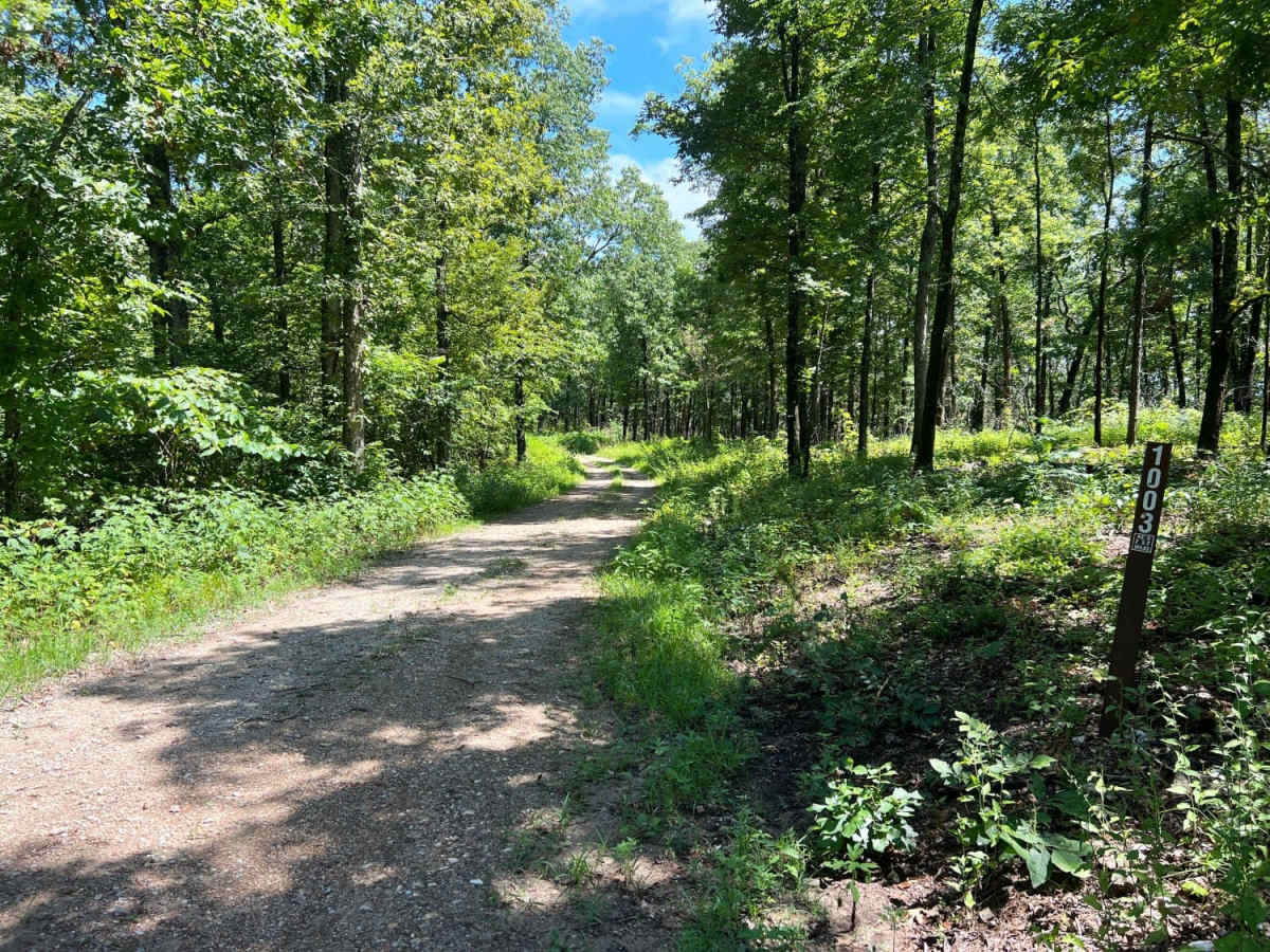 Scroggins Ridge to Rock Creek photo 5