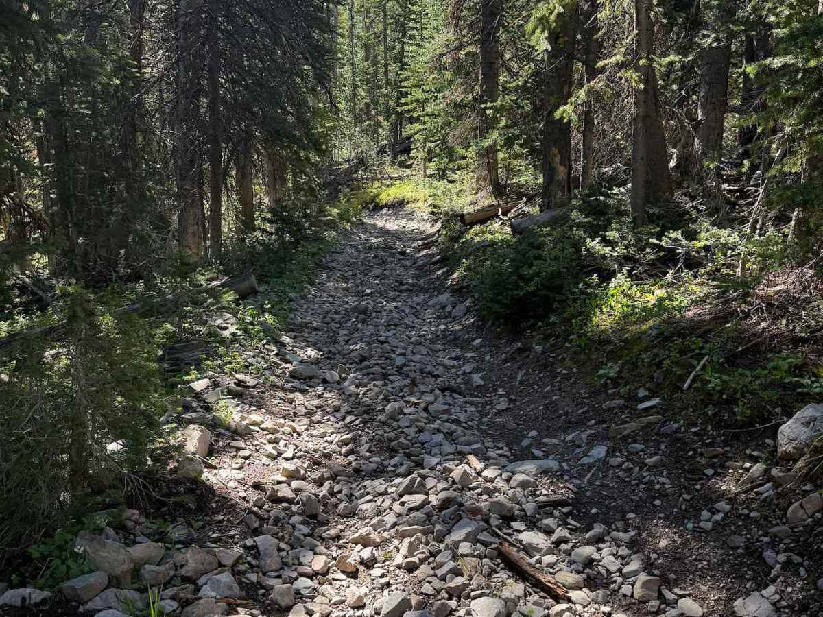 Patterson Trail photo 3