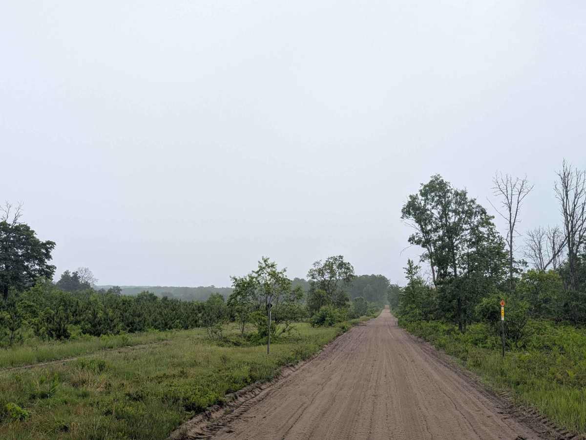 West Higgins Route Section 1 photo 6