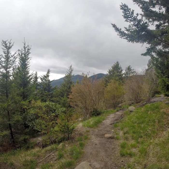 Head up to the summit of Mount Mitchell for great views! Near Mount Mitchell