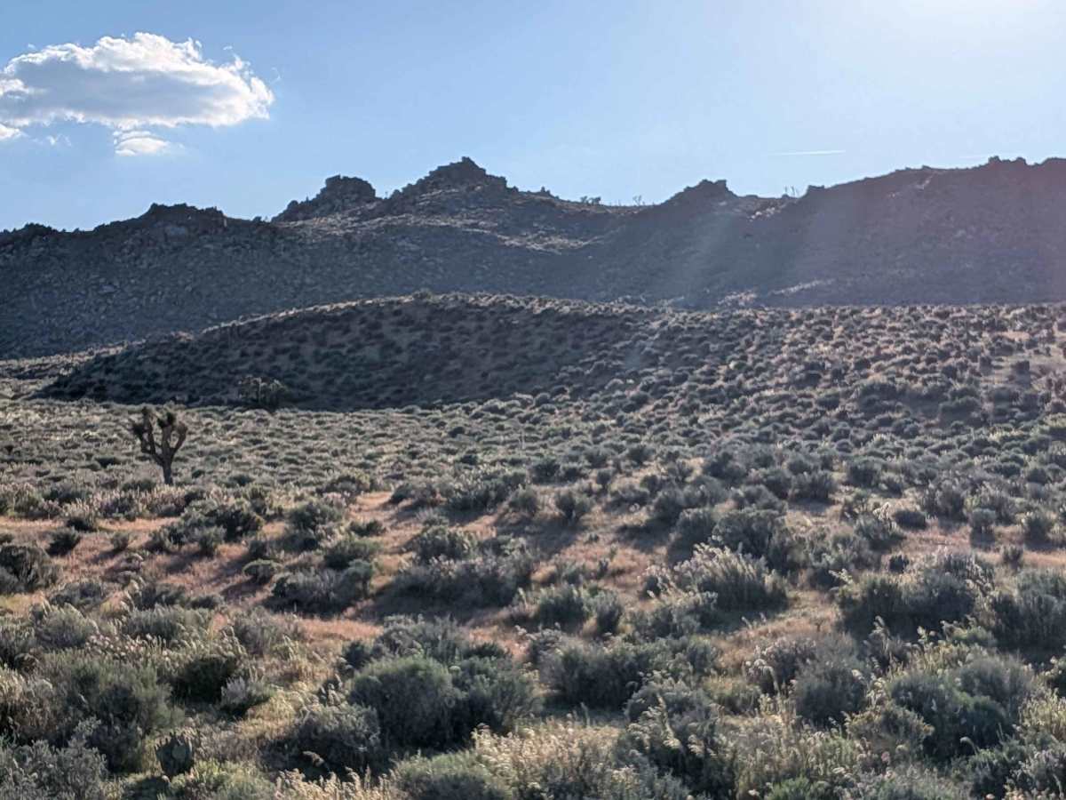 BLM SC161 photo 2