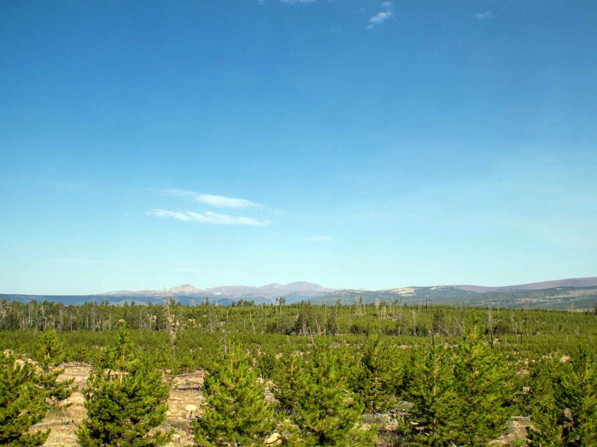 Harmston Overlook photo 5