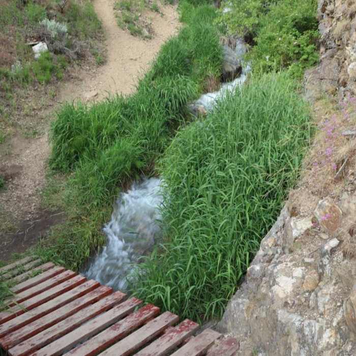 Near Davis Creek Falls