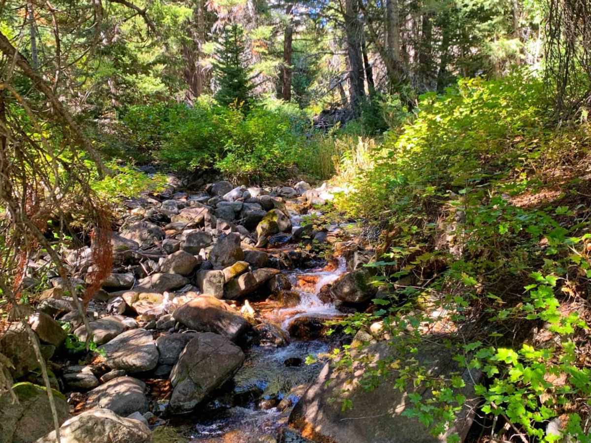 Boulder Creek Left Trail trail photo