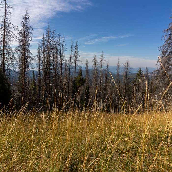 Near Elkhorn Peak to Crow Peak Loop