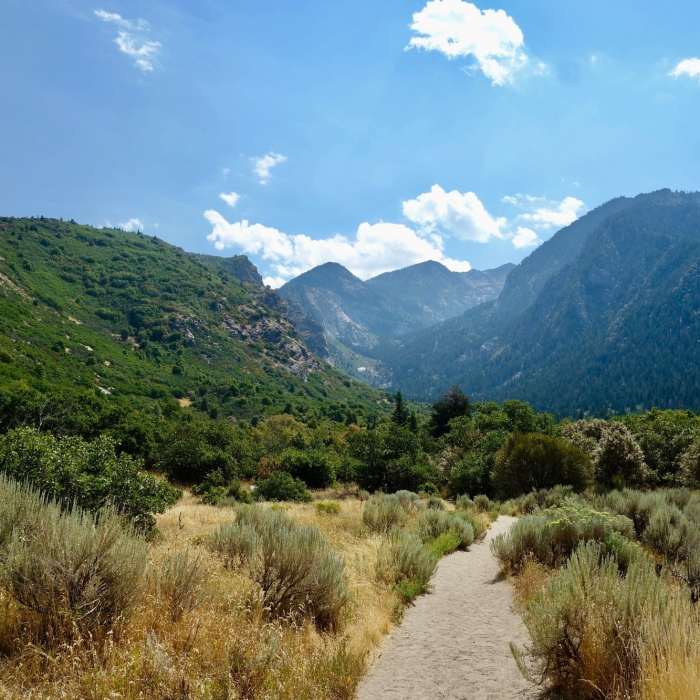 Near Bells Canyon Trail