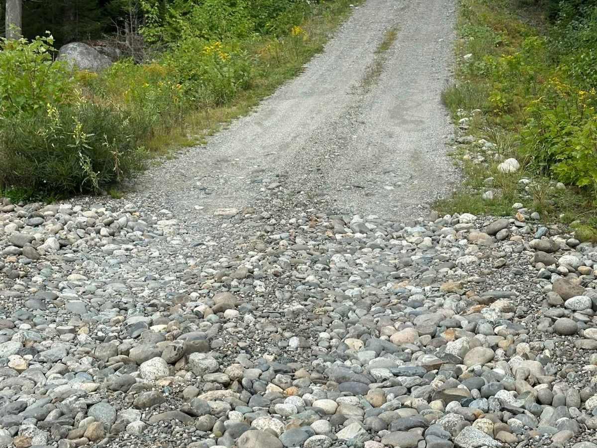 Branch Lake Forest Access Road photo 3