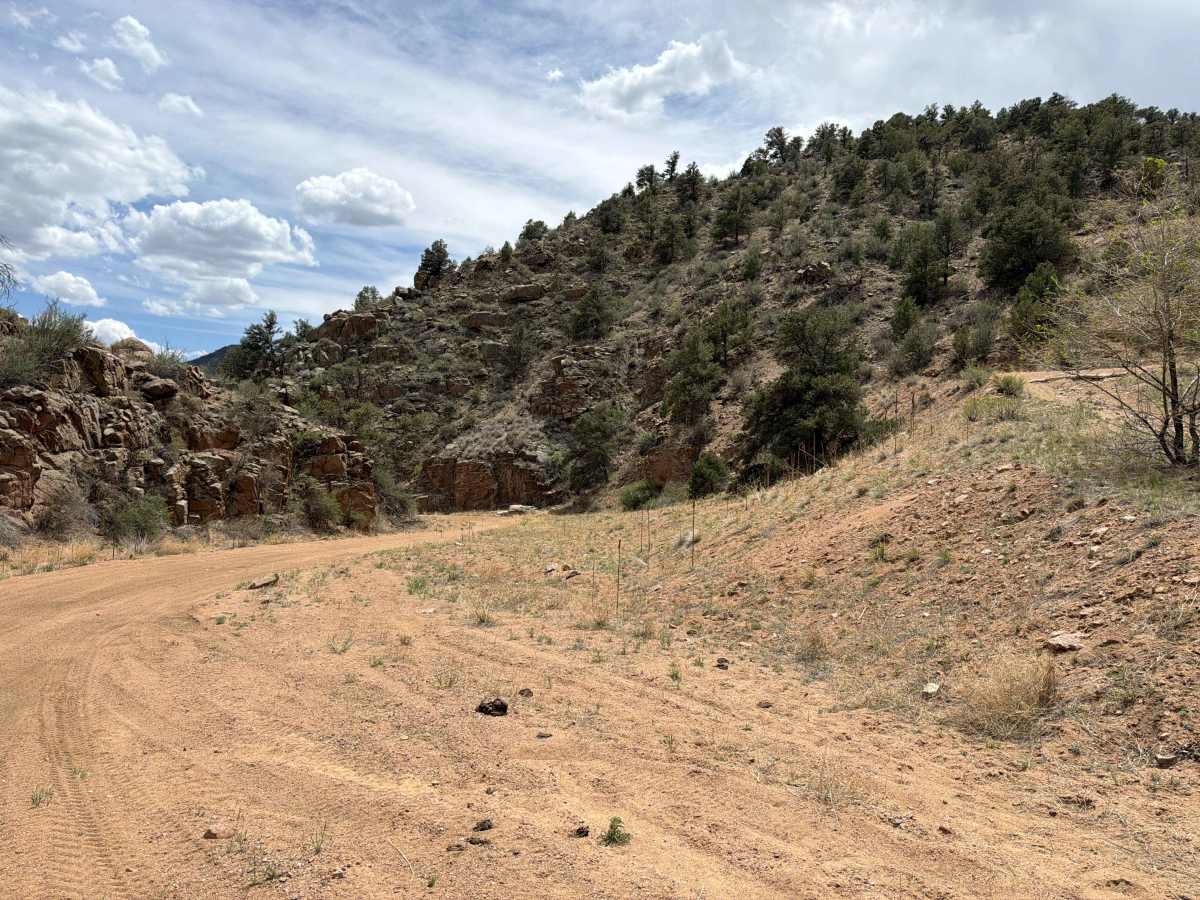 BLM 6024 photo 2