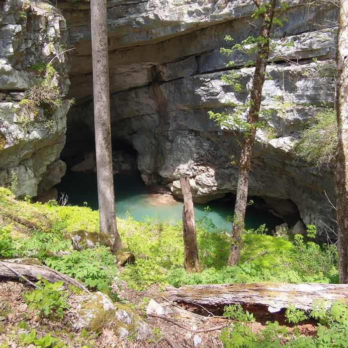 Near Head of Sequatchie Loop Trail