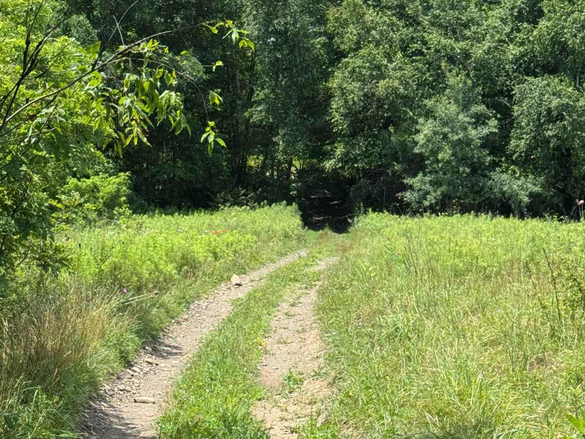 Trail 38 photo 5