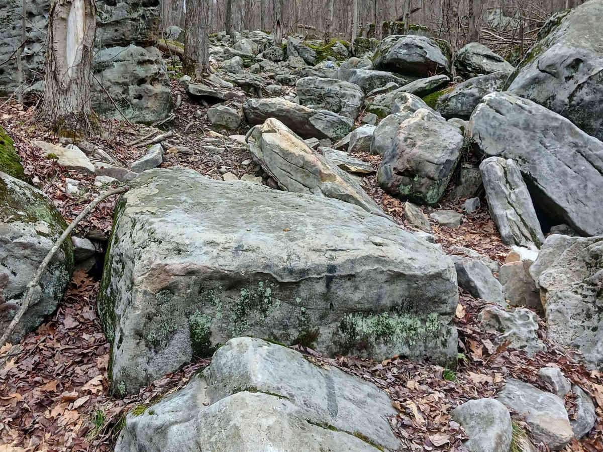 OHV 62 - Rock Run Recreation Area trail photo