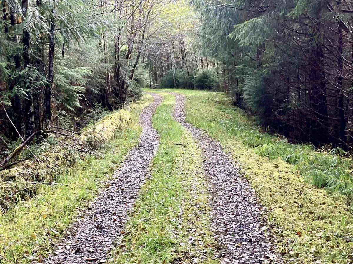 Shaheen G Spur Road 2050860 trail photo