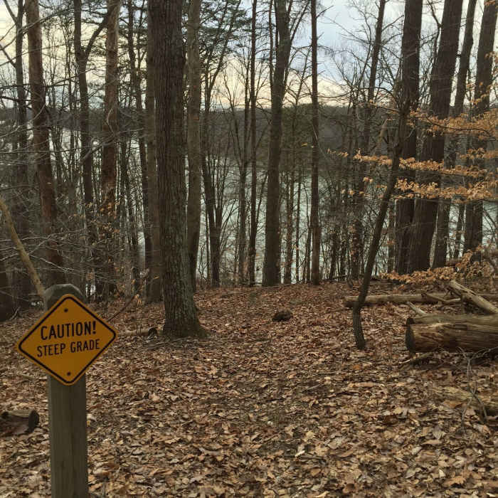 Near Cool Spring Run to Loops