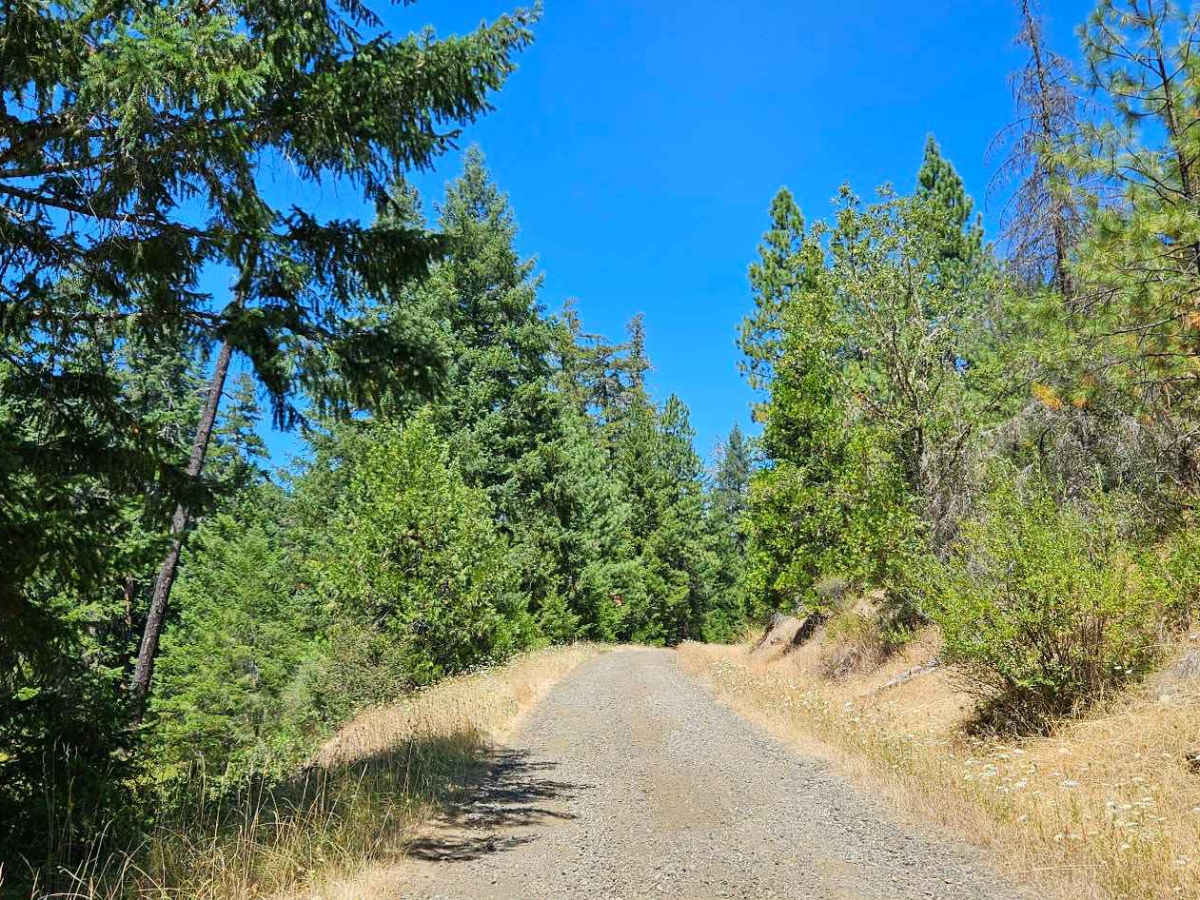 FS 2921000 trail photo