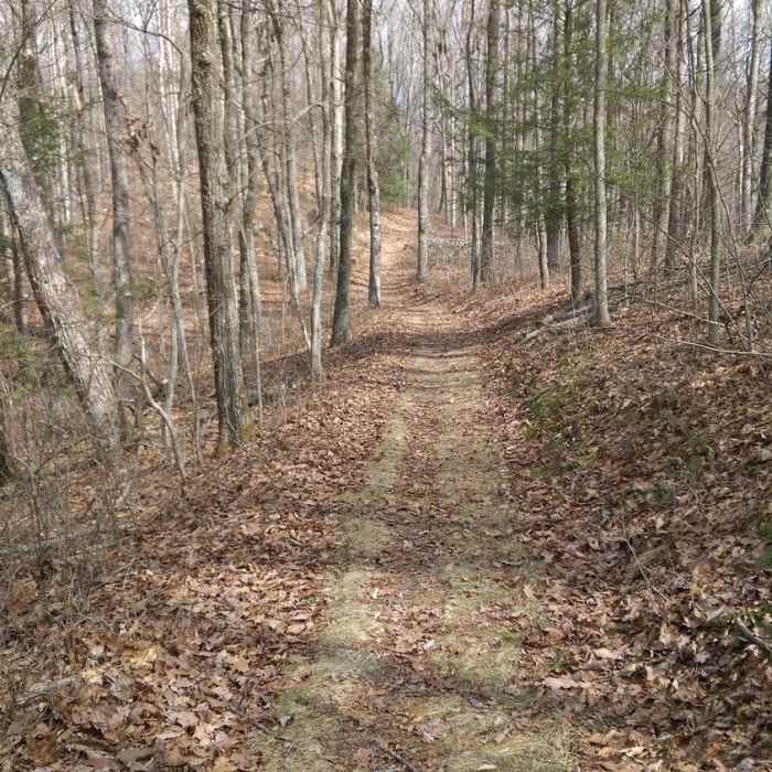The crackle of leaves underfoot makes for a wonderful winter day on the Ridge Trail. Near Pinnacle Overlook Out-and-Back