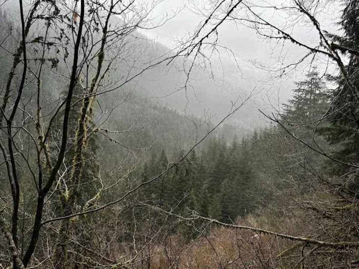 Illinois - FS 5731 trail photo