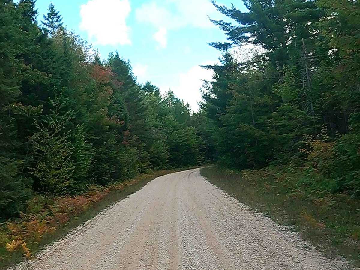 West Wilwin Road/ West Camp 2 Truck Trail - FS 3145 trail photo