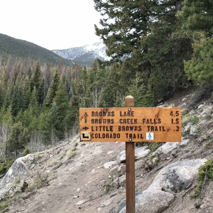 An informative sign marks the route to Browns Lake and the waterfall. Near Browns Creek Falls