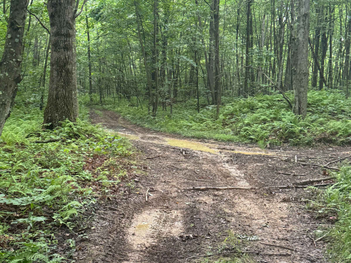 Trail 53 photo 3