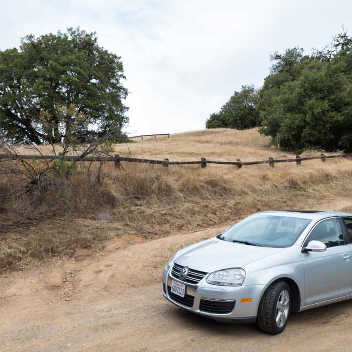 Near Ancient Oaks Trail Near Ancient Oaks Trail