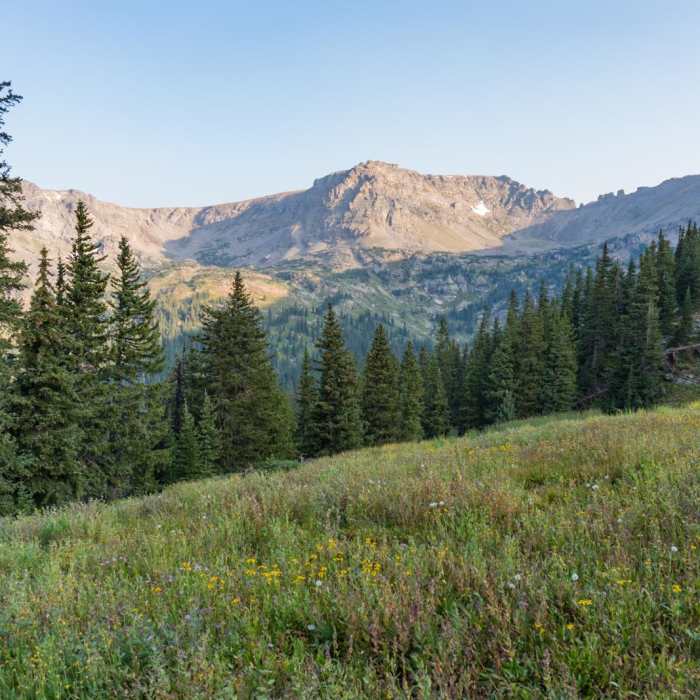 Near Pawnee-Buchanan Loop