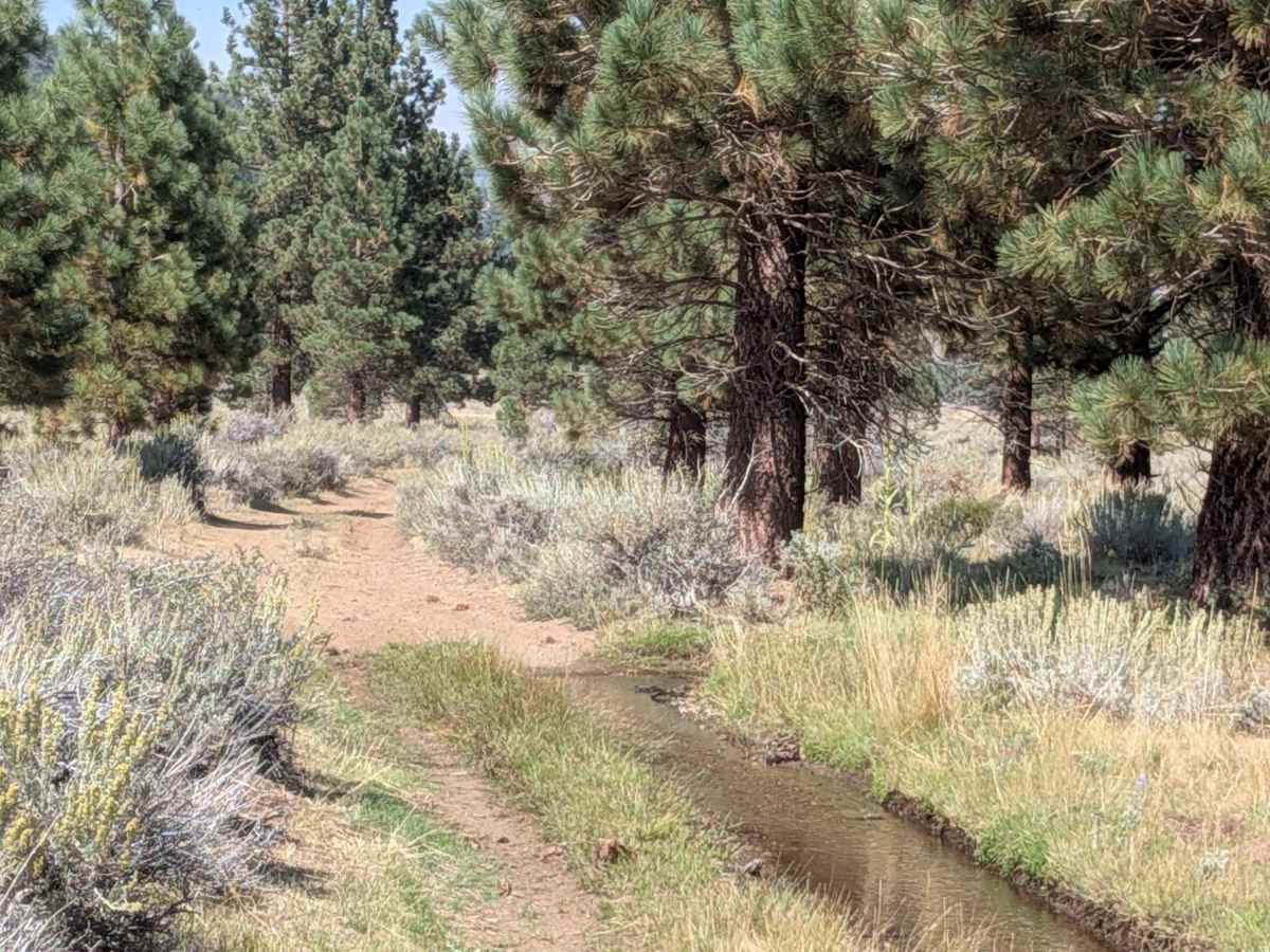 LaBrosse Creek Road - FS 32176 photo 4
