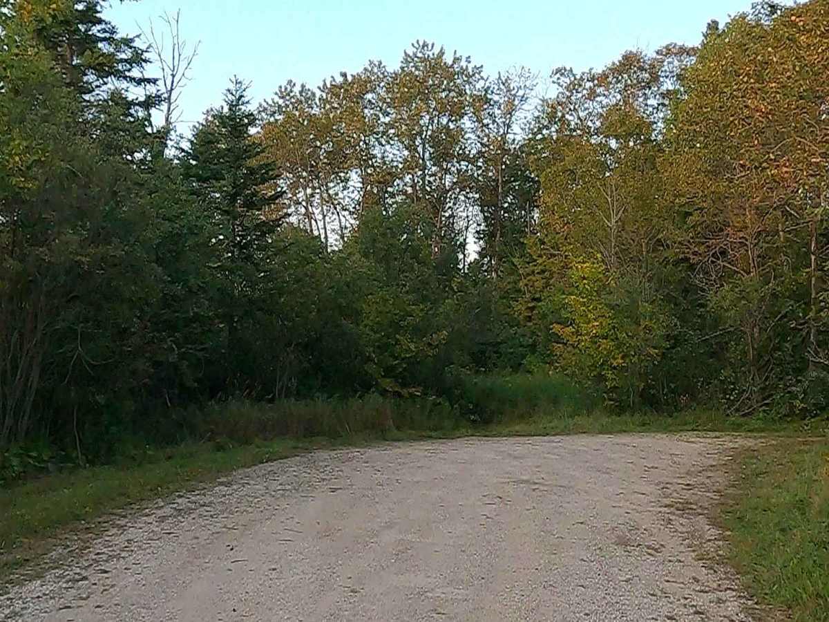 Carp River Boat Landing Road - FS 3127  photo 4
