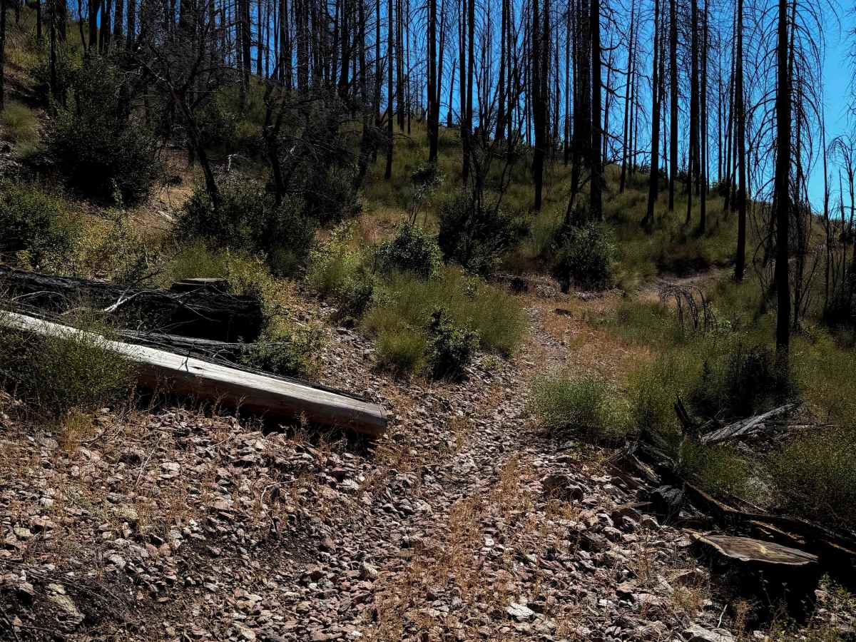 Lower Indian Falls Ridge  photo 5