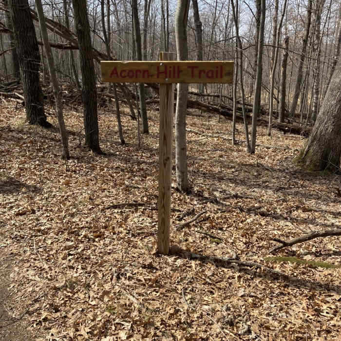 Near Linwood School Forest Trails Loop