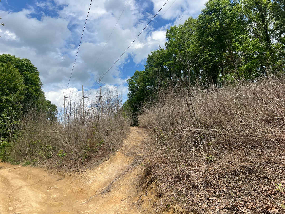 KC6A trail photo