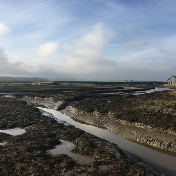 Padilla Bay shore trail at Indian Slough -- You can see a bit of the wide, flat, well-maintained trail to the right of the barn. Near Padilla Bay Shore Trail
