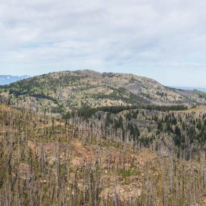 Near Seven Devils: Windy Saddle to Sheep Lake