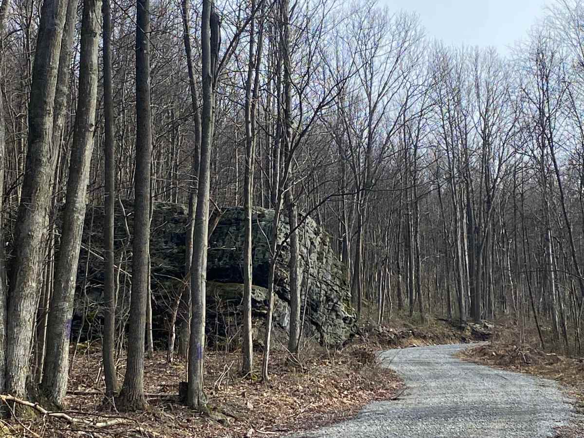 Greenlick Hollow trail photo