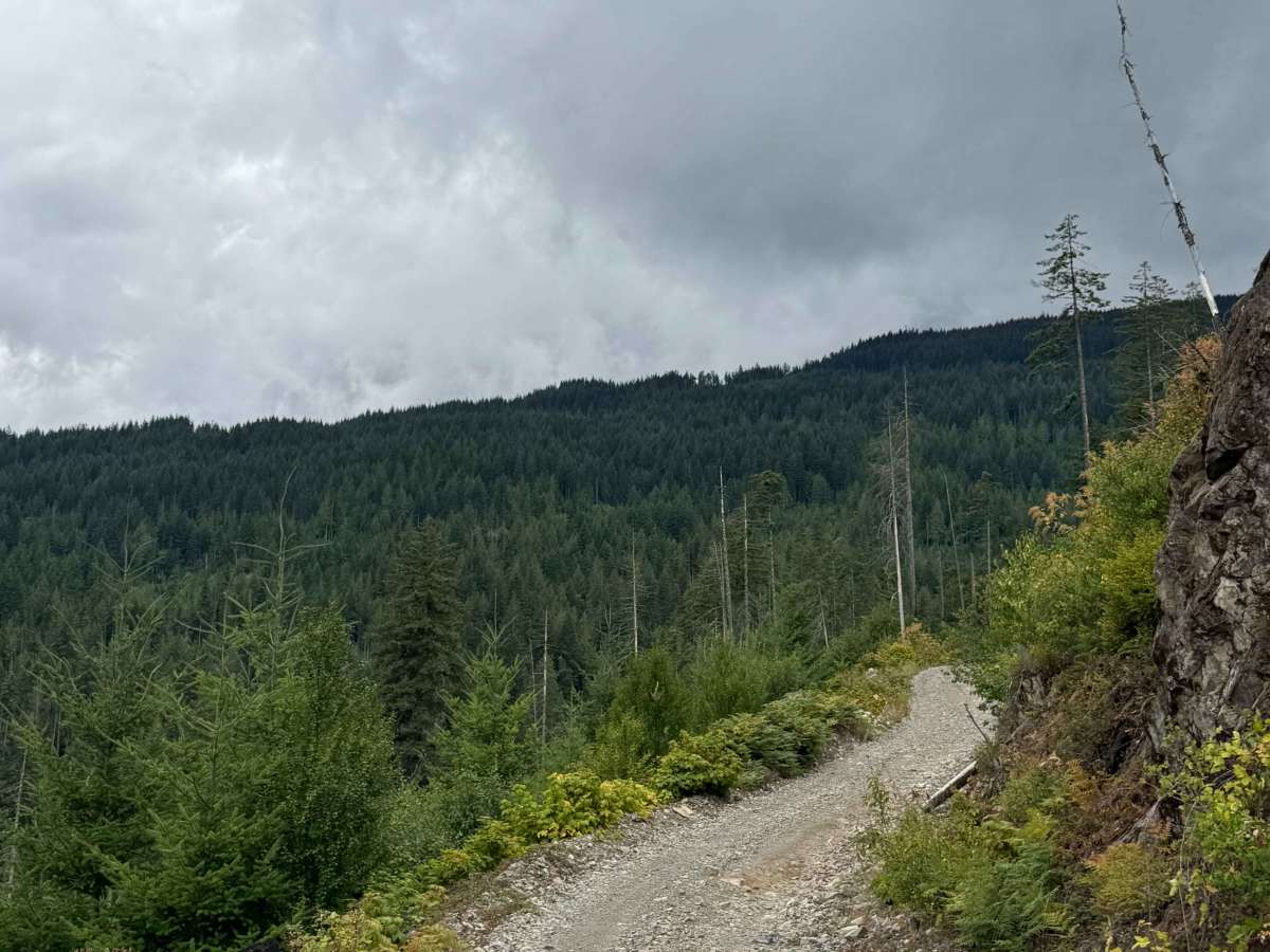 Lookout Lake photo 2