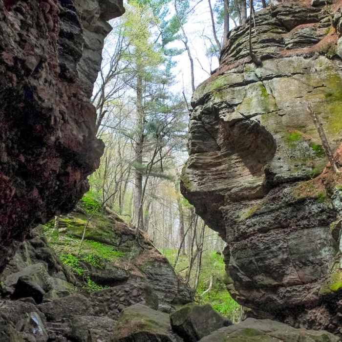 Near Parfrey's Glen Natural Area Near Parfrey's Glen Natural Area