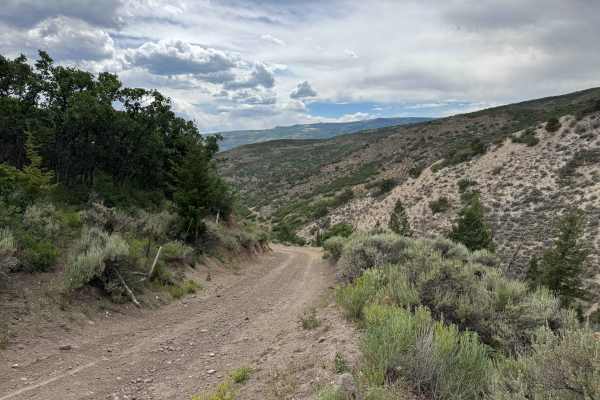 BLM 8450