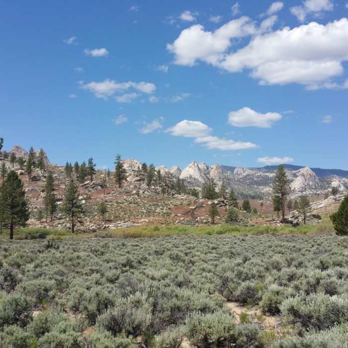 Near Domeland Wilderness via Pacific Crest Trail