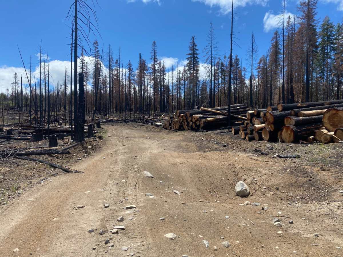 Sheep Creek photo 6