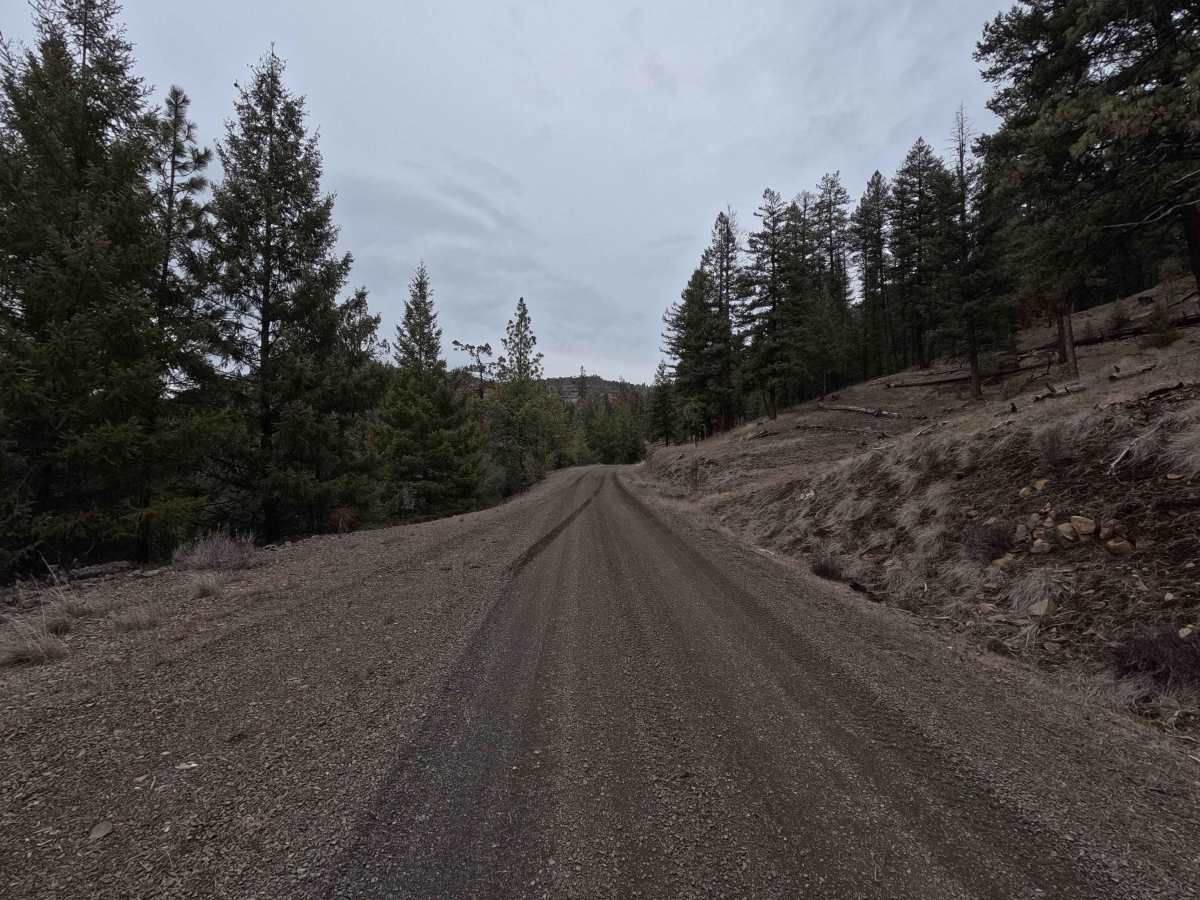 Wilson Creek Road - FS 2128 photo 6
