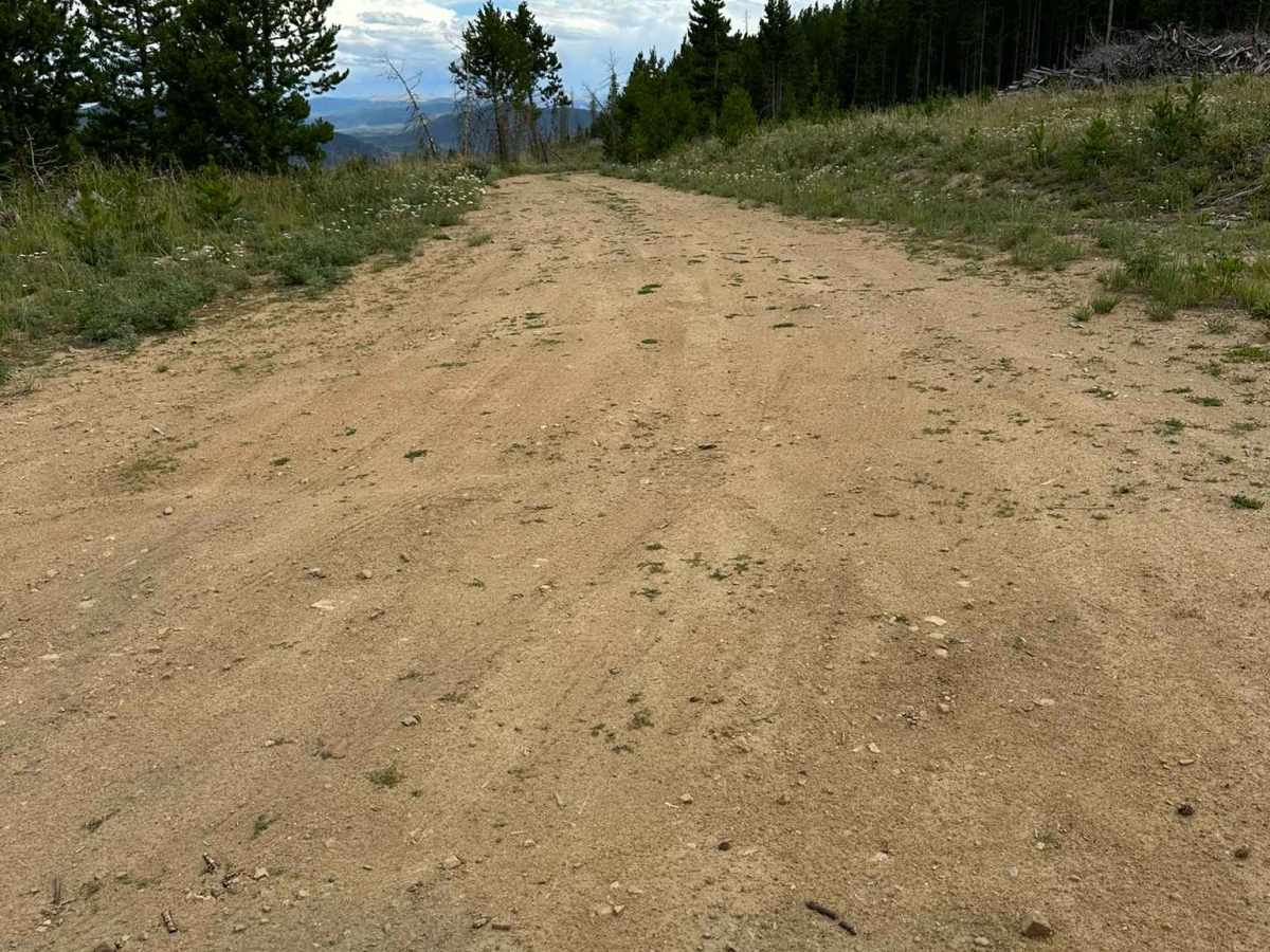BLM Route 2764 trail photo
