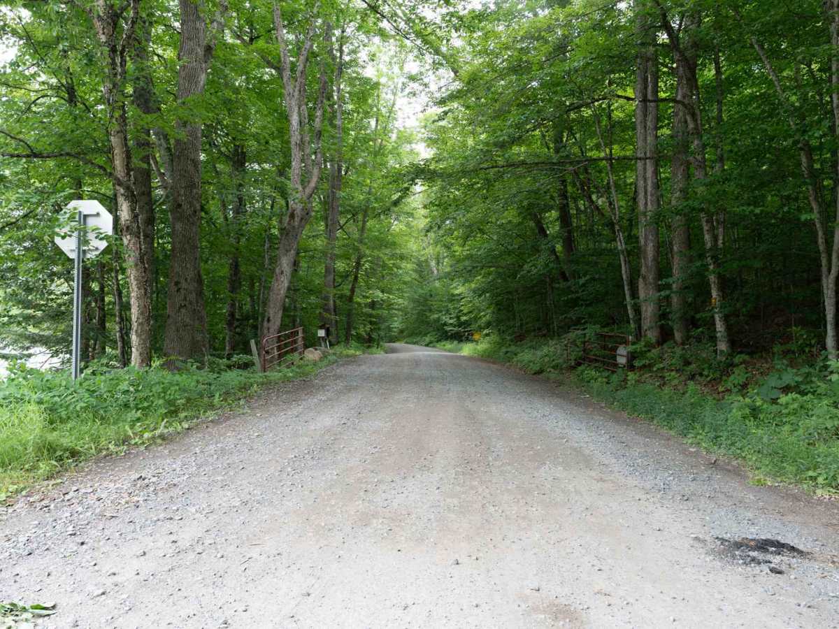 Perkins Clearing Road photo 4