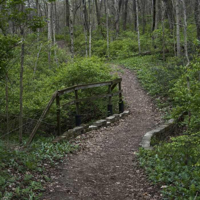 Near Simon Kenton Trail